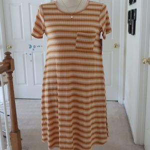 NWT striped Lularoe Carly XS